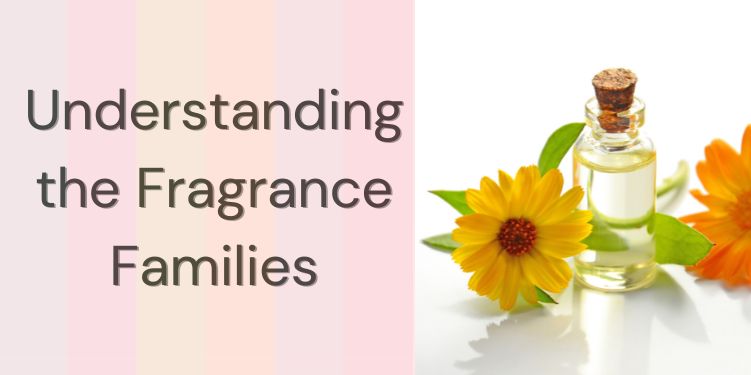 Understanding the Fragrance Families